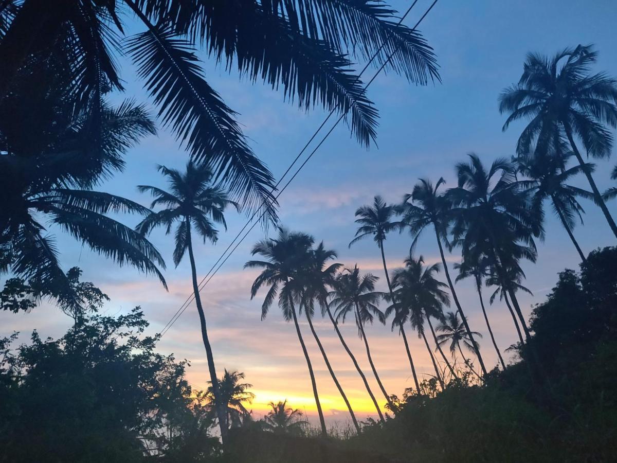 Sunshine Service Villa كانور المظهر الخارجي الصورة