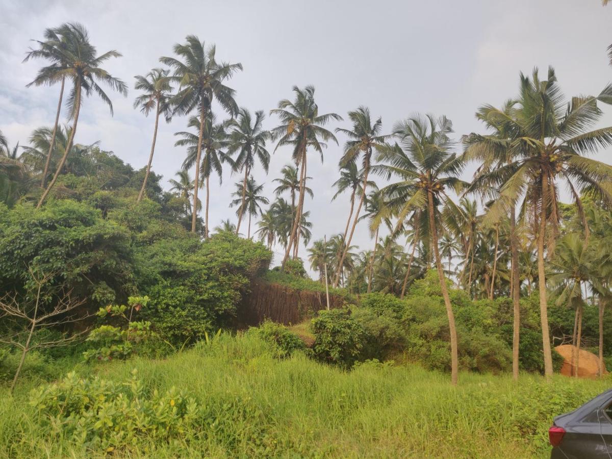 Sunshine Service Villa كانور المظهر الخارجي الصورة
