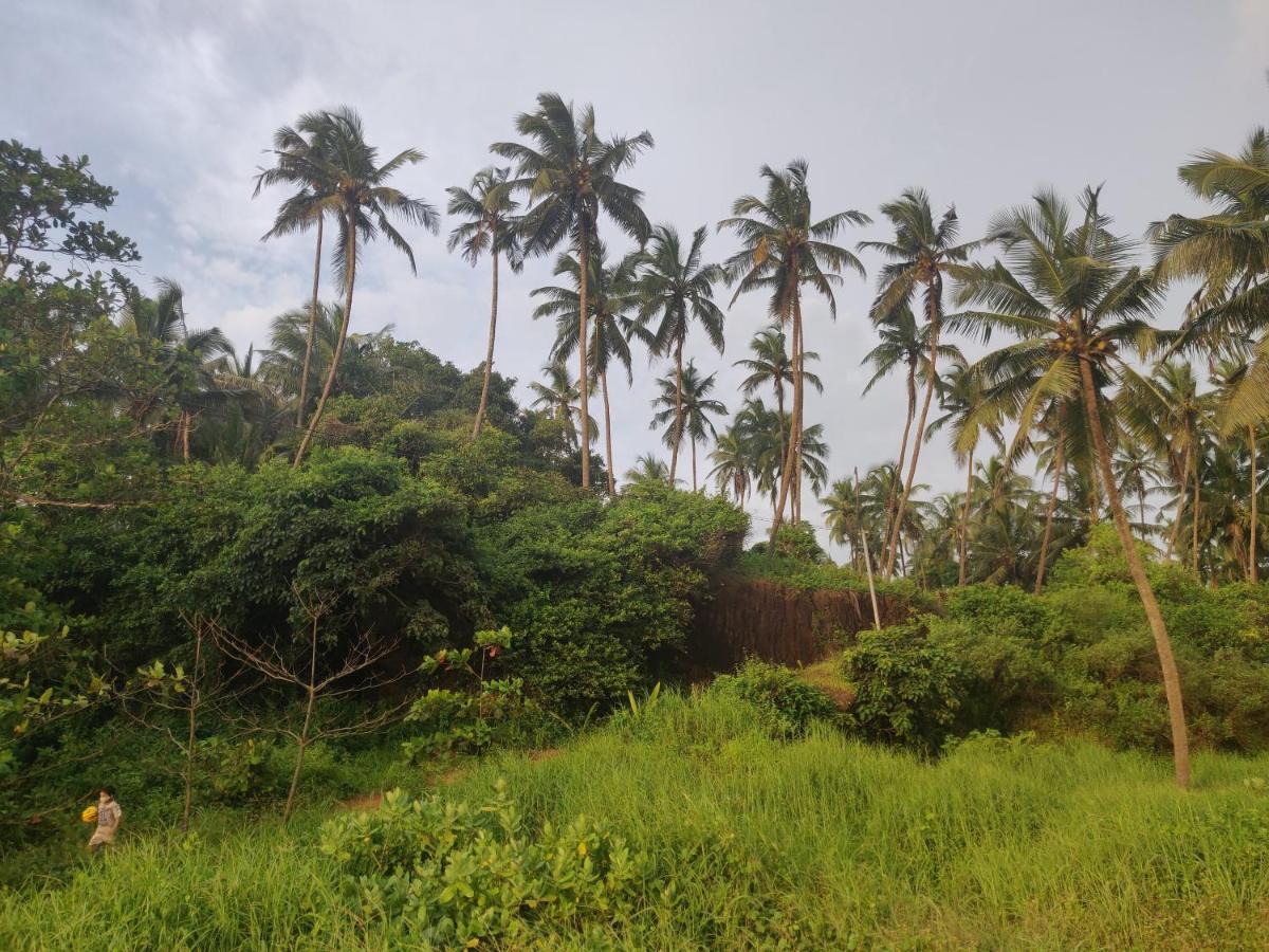 Sunshine Service Villa كانور المظهر الخارجي الصورة